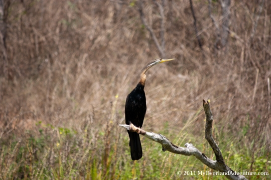 Mareeba Wetlands
