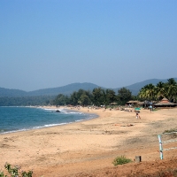 Agonda