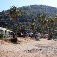Agonda