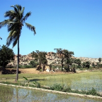 Hampi - Anegundi